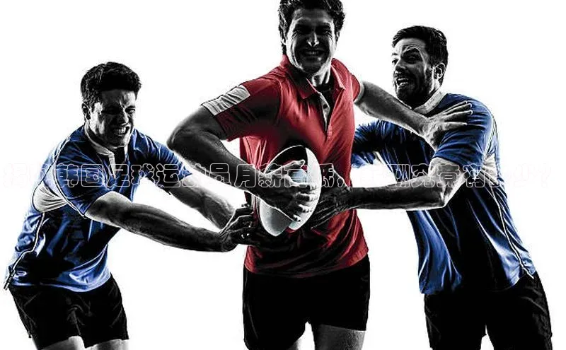 WilliamHill官方网站百度Apollo揭秘韩国足球运动员月薪高低，薪酬究竟有多少？