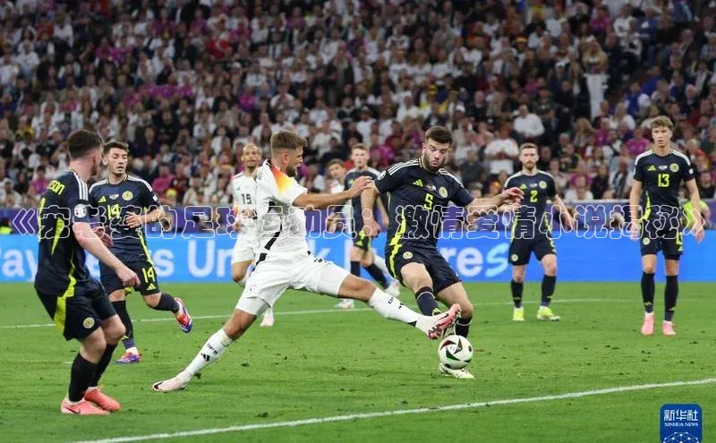 威廉希尔手机版登录入口小红书《宠老婆的足球运动员：激情爱情小说揭秘》