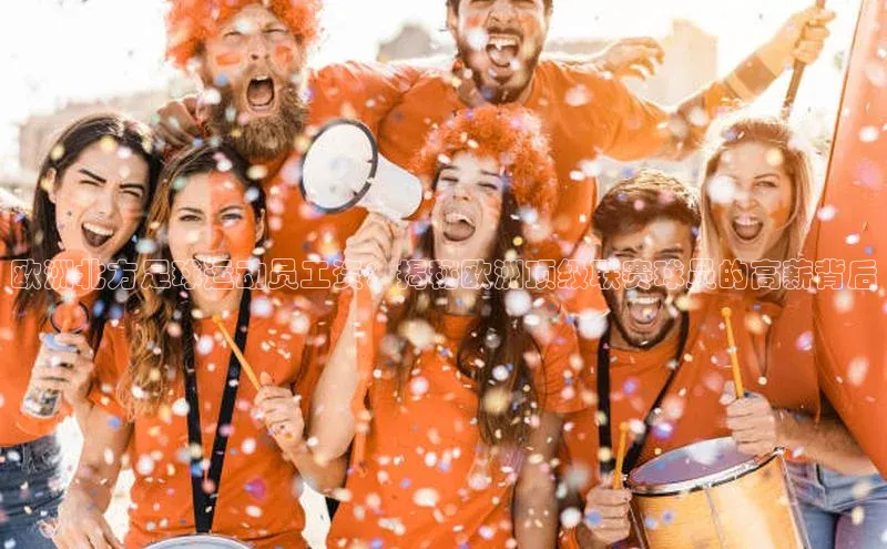 williamhill体育在线平台金山办公欧洲北方足球运动员工资：揭秘欧洲顶级联赛球员的高薪背后