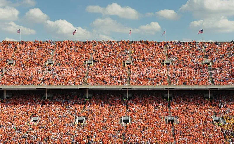 威廉希尔官网数据如流探秘足球运动员腿上必备装备，揭秘他们穿的到底是啥？