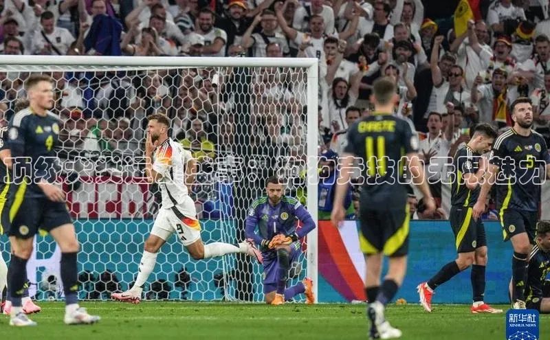 威廉希尔官网网址是多少云创智行顶级犬类运动盛事：狗狗竞技的无限魅力