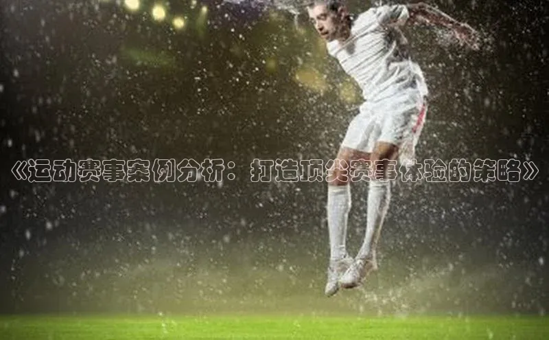 《运动赛事案例分析：打造顶尖赛事体验的策略》