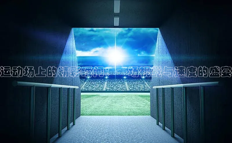 运动场上的精彩瞬间：一场视觉与速度的盛宴