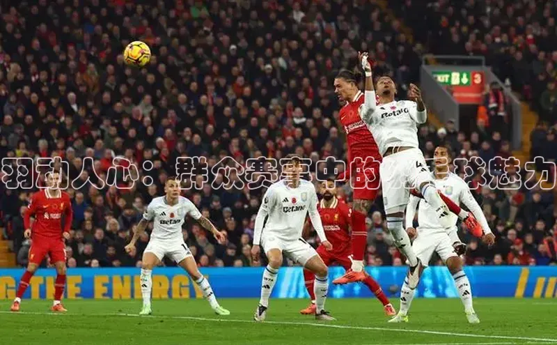 羽动人心：群众赛事中的羽毛球魅力