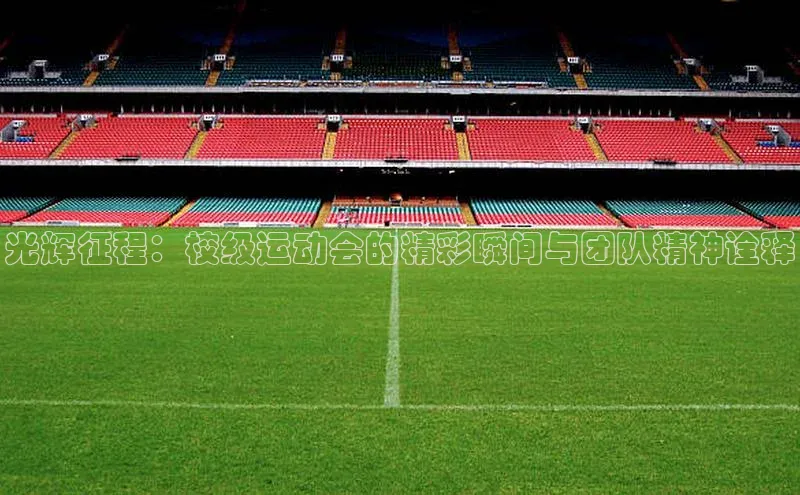 光辉征程：校级运动会的精彩瞬间与团队精神诠释