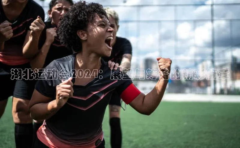 湖北运动会2024：展望与筹备的精彩篇章