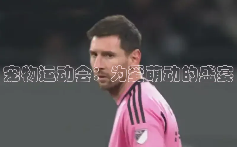 宠物运动会：为爱萌动的盛宴