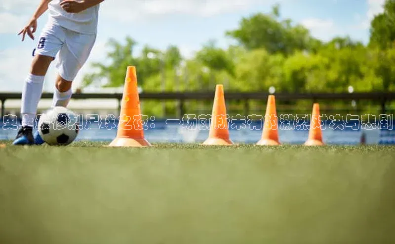 威廉希尔立博官方网站