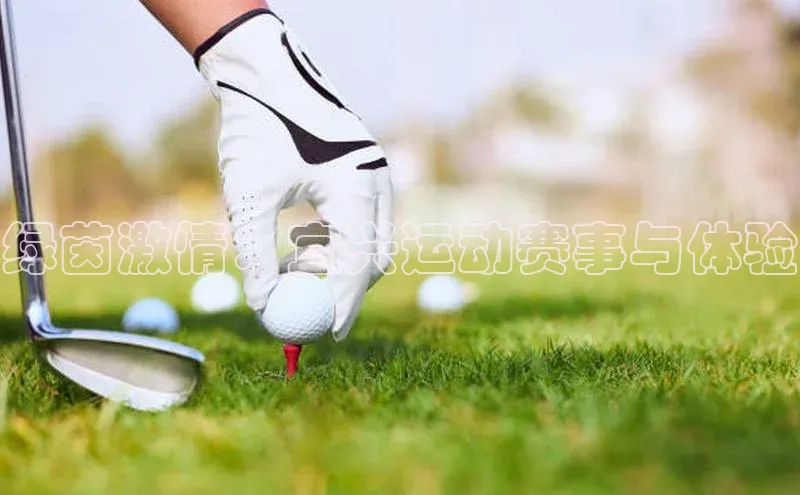 威廉希尔中文网站平台