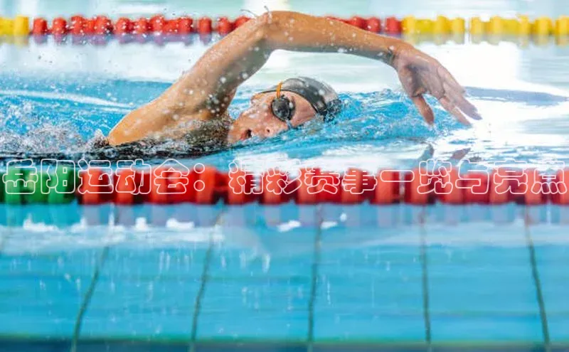 岳阳运动会：精彩赛事一览与亮点