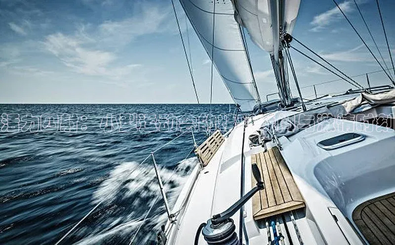 活力四射：小型运动会的精彩瞬间与激情时刻