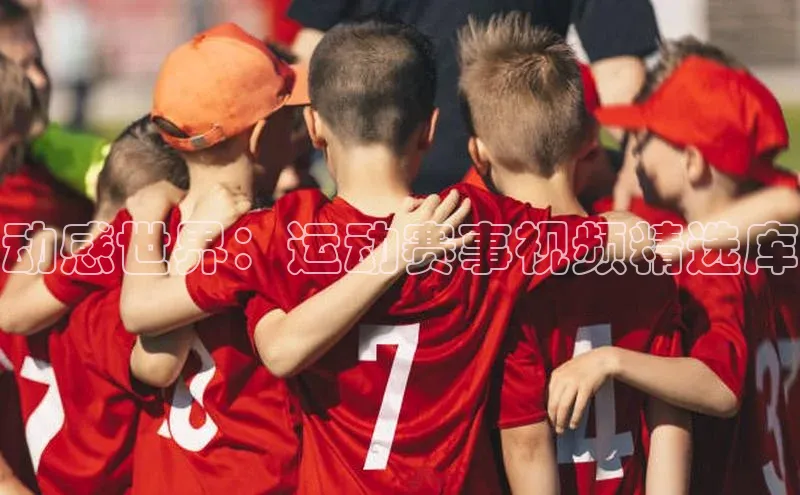 动感世界：运动赛事视频精选库